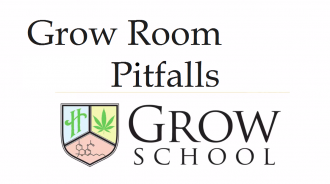 How to Avoid Grow Room Pitfalls