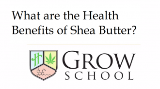 What are the Health Benefits of Shea Butter?